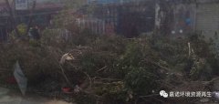 超強臺風災害后垃圾處理，援助第1站：惠州